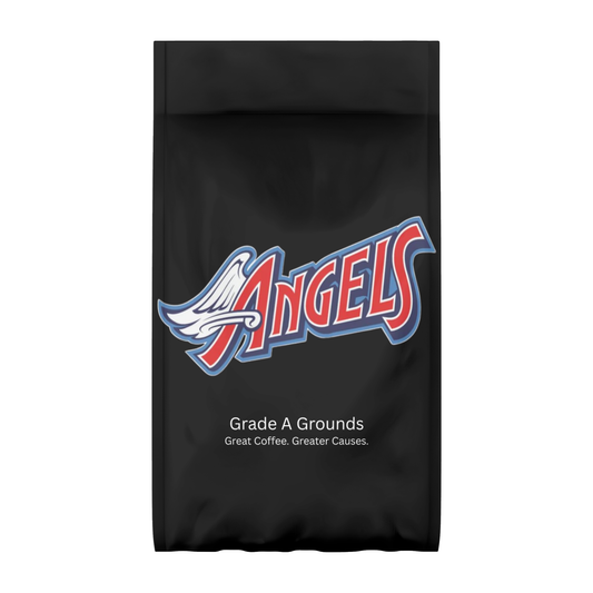 Angels Baseball Organization Fundraiser